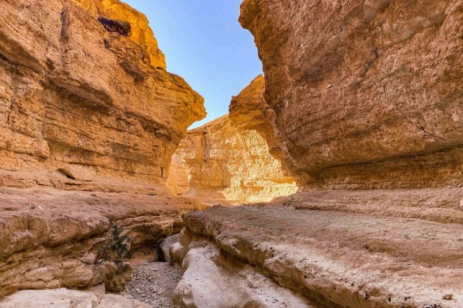 Tamerza Canyon Oasis Tour